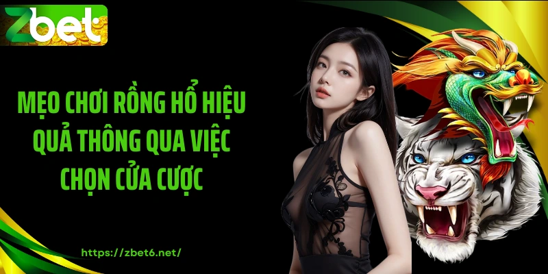 Mẹo chơi rồng hổ hiệu quả thông qua việc chọn cửa cược