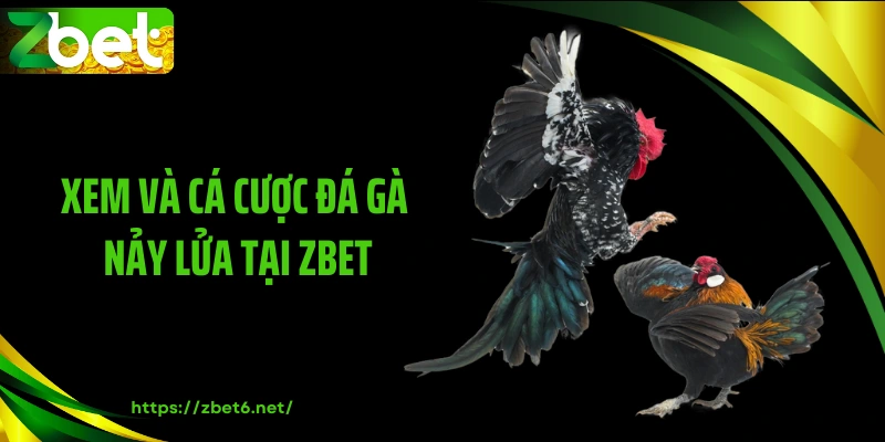 Xem và cá cược đá gà nảy lửa tại ZBET